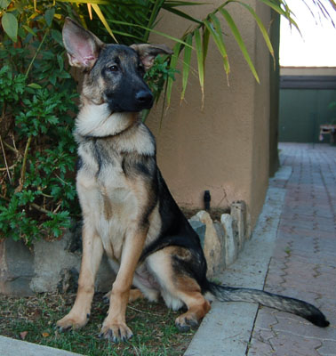 Misha von Munster sitting